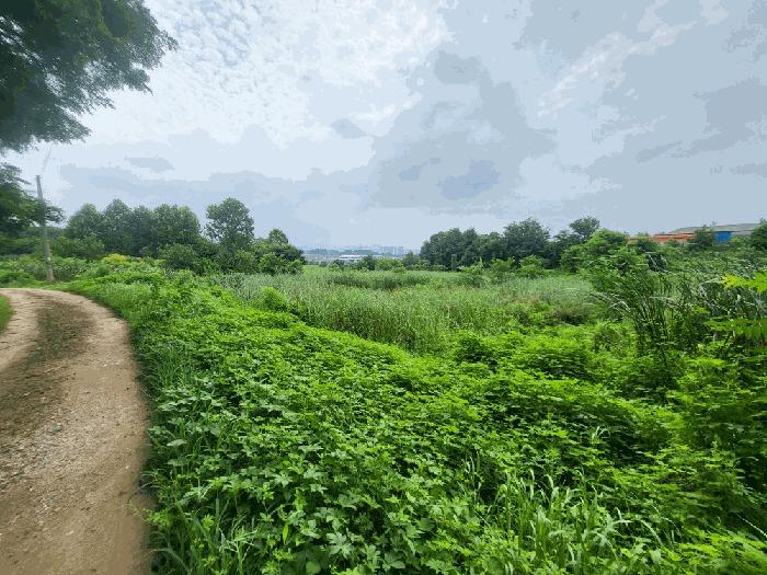 충북 진천군 덕산읍 신척리 193 답 사진 2