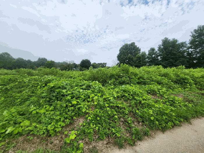 충북 진천군 덕산읍 신척리 193 답 사진 3