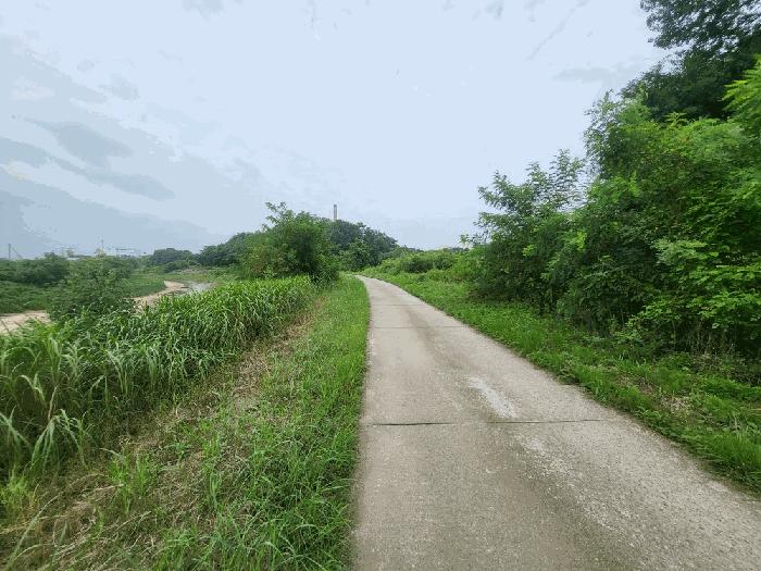 충북 진천군 덕산읍 신척리 193 답 사진 4