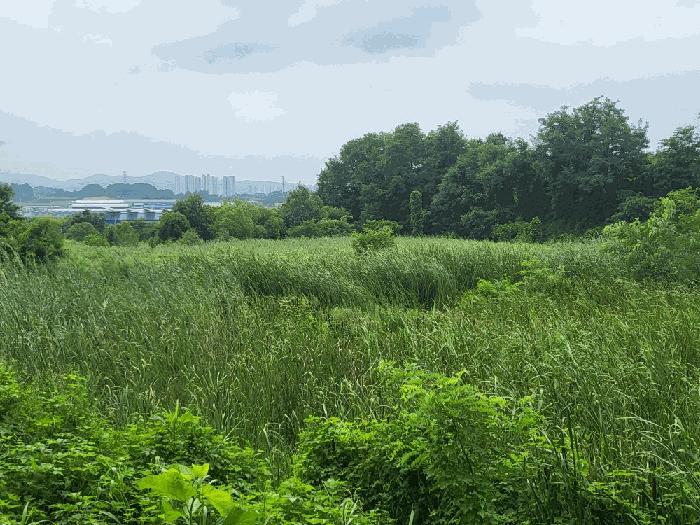 충북 진천군 덕산읍 신척리 193 답 사진 5