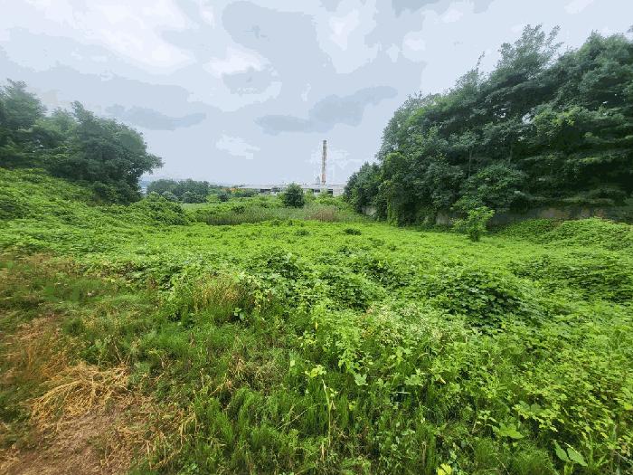충북 진천군 덕산읍 신척리 193 답 사진 6