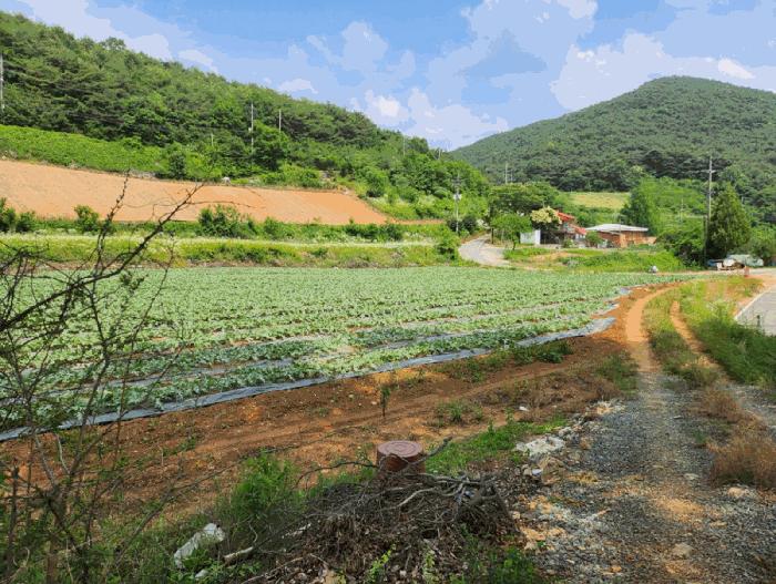 충북 단양군 매포읍 하시리 4-1 전 경매 물건 사진