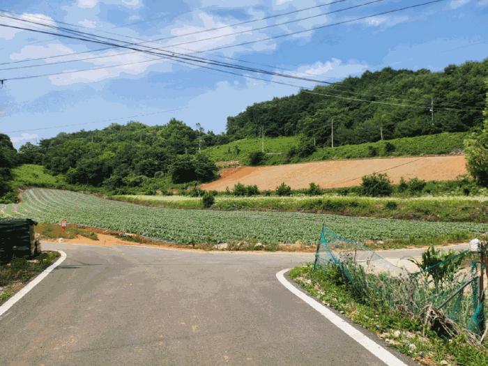 충북 단양군 매포읍 하시리 4-1 전 사진 4