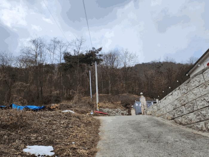 충북 제천시 청풍면 연곡리 154-7 임야 사진 4