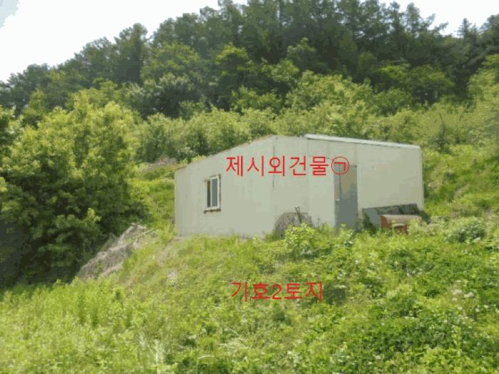 충북 단양군 대강면 신구리 62-1 전 경매 물건 사진