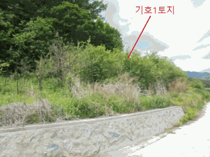 충북 단양군 대강면 신구리 62-1 전 사진 4