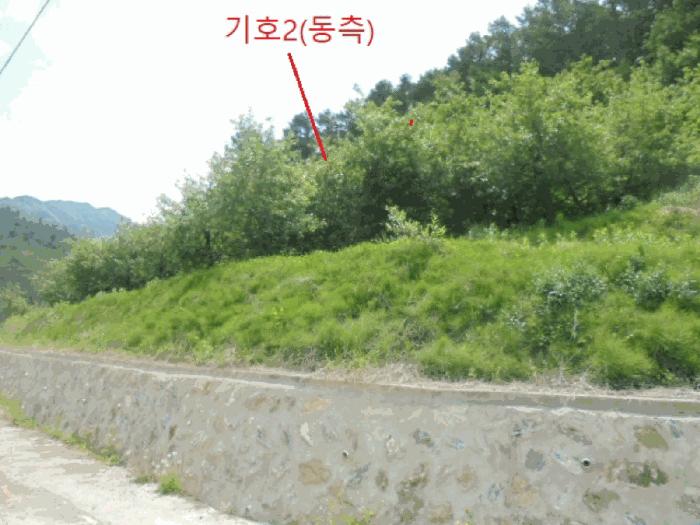 충북 단양군 대강면 신구리 62-1 전 사진 5