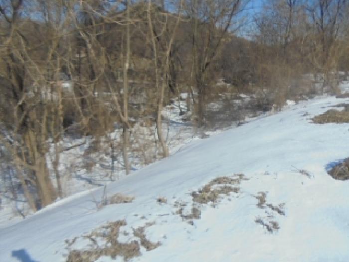 충북 충주시 대소원면 금곡리 산33 임야 사진 2