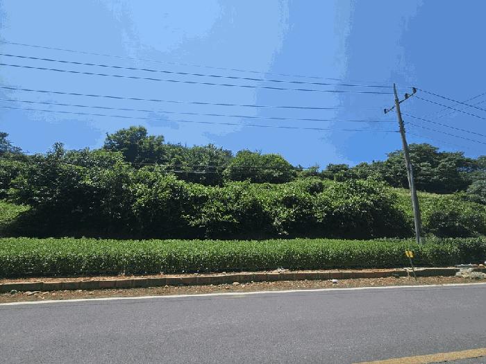 충북 단양군 적성면 상원곡리 43 전 사진 2