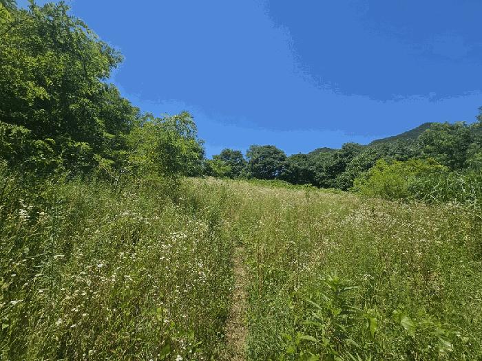 충북 단양군 적성면 상원곡리 43 전 사진 3