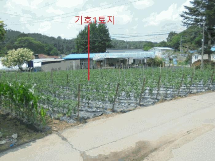 충북 제천시 백운면 평동리 367 대지 경매 물건 사진