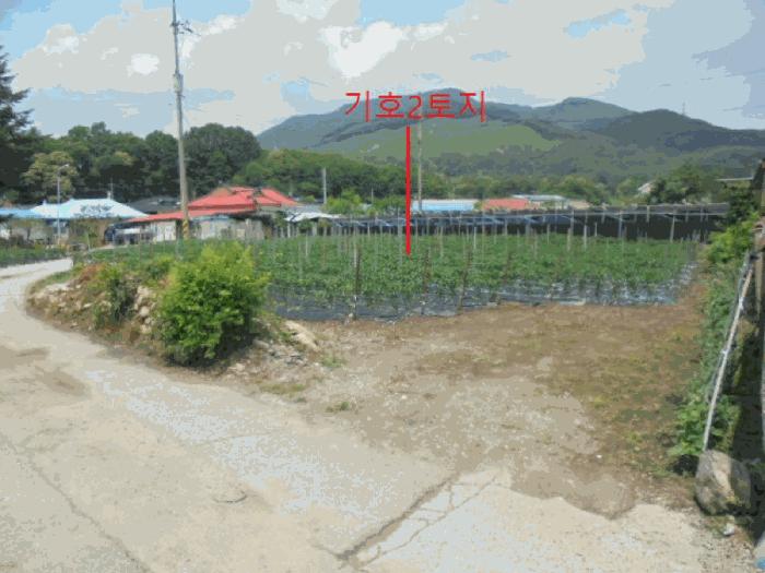 충북 제천시 백운면 평동리 367 대지 사진 2