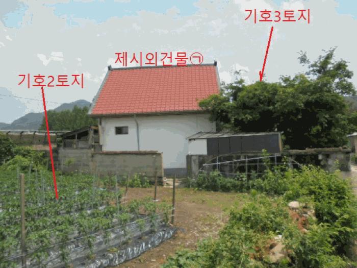 충북 제천시 백운면 평동리 367 대지 사진 3