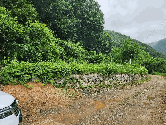 충북 진천군 백곡면 성대리 174 대지 경매 물건 사진