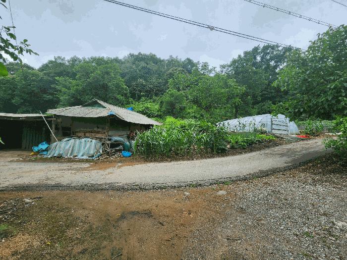 충북 진천군 백곡면 성대리 174 대지 사진 2