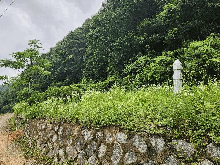 충북 진천군 백곡면 성대리 174 대지 사진 3