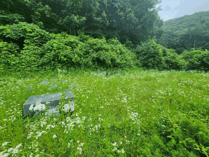 충북 진천군 백곡면 성대리 174 대지 사진 4