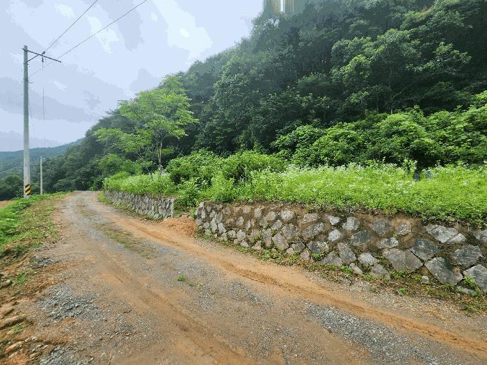 충북 진천군 백곡면 성대리 174 대지 사진 5