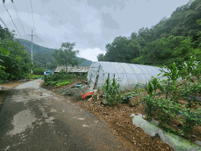 충북 진천군 백곡면 성대리 174 대지 사진 6