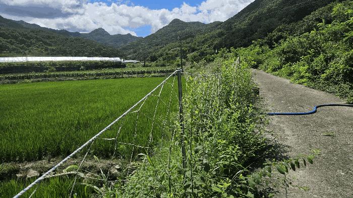 충북 보은군 산외면 신정리 167-1 전 경매 물건 사진