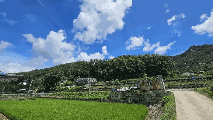충북 보은군 산외면 신정리 167-1 전 사진 2