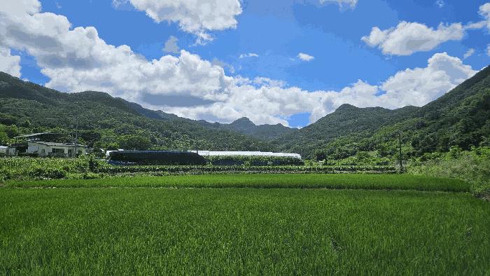 충북 보은군 산외면 신정리 167-1 전 사진 3