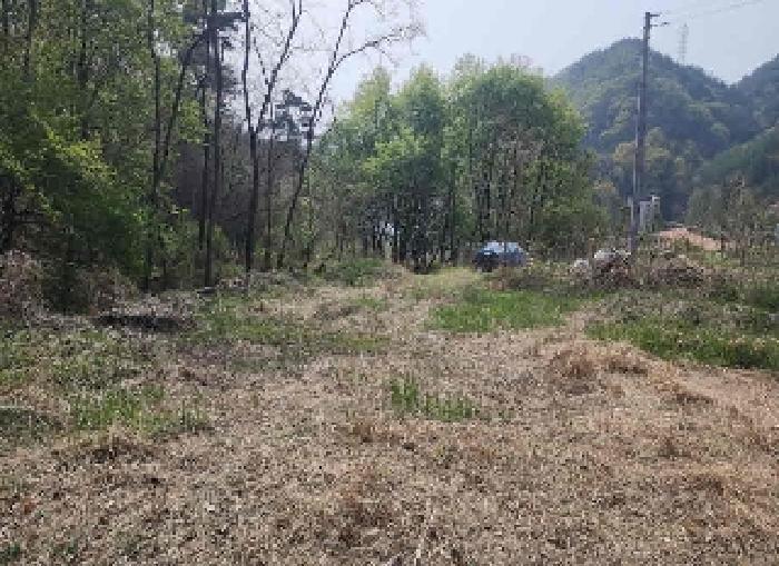 충북 옥천군 옥천읍 교동리 123 전 사진 4