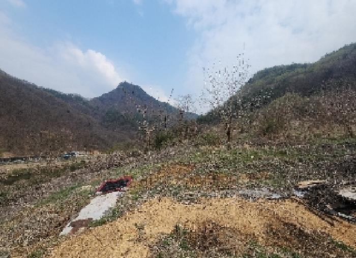 충북 영동군 용산면 한석리 540-2 과수원 사진 5