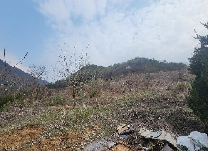 충북 영동군 용산면 한석리 540-2 과수원 사진 6