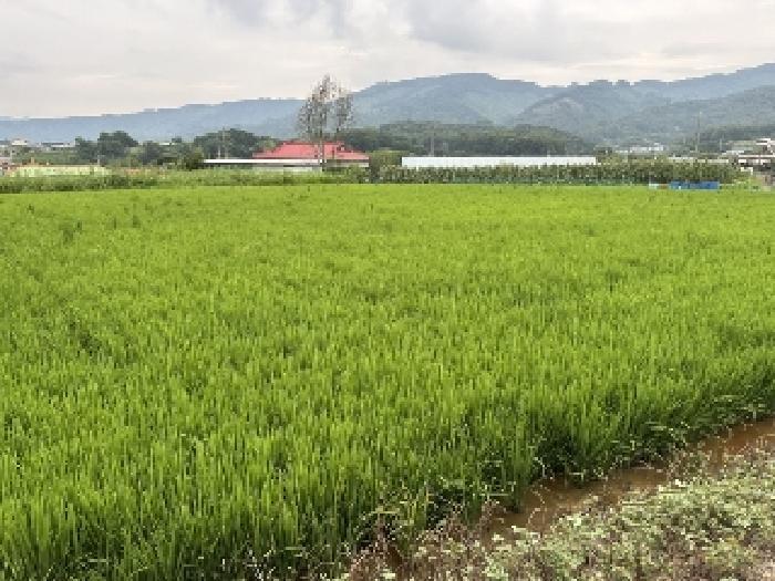 충북 청주시 청원구 내수읍 세교리 367 전 사진 2