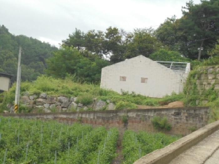 충북 청주시 상당구 남일면 신송리 520-10 임야 경매 물건 사진