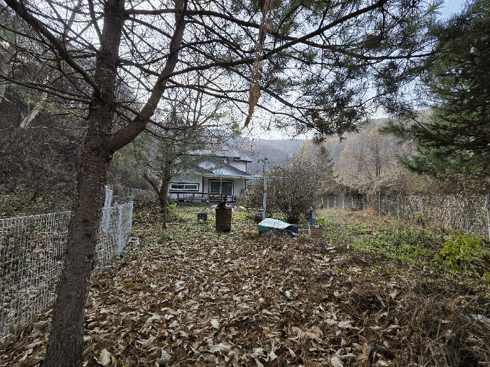 충북 괴산군 문광면 광덕리 718-6 주택 사진 6