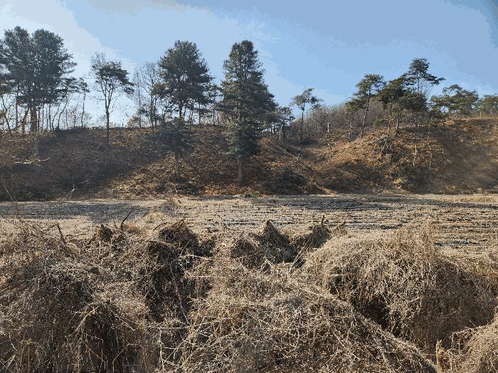 충북 충주시 앙성면 용대리 110 답 경매 물건 사진