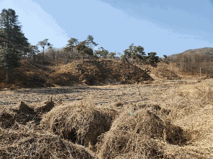 충북 충주시 앙성면 용대리 110 답 사진 2