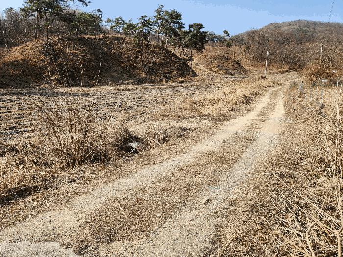 충북 충주시 앙성면 용대리 110 답 사진 5