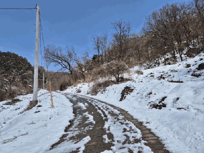 충북 충주시 엄정면 유봉리 2 임야 사진 2