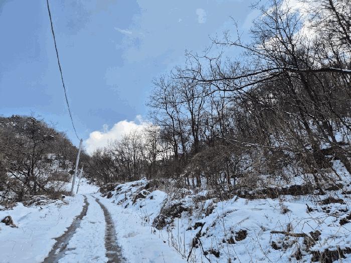 충북 충주시 엄정면 유봉리 2 임야 사진 5