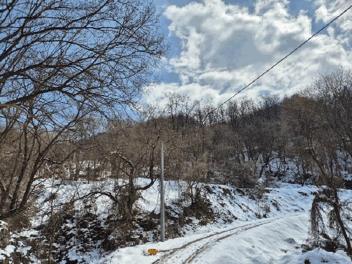 충북 충주시 엄정면 유봉리 2 임야 사진 6