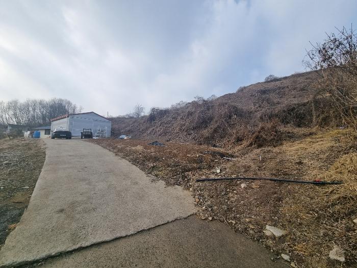 충북 충주시 살미면 설운리 388-1 전 경매 물건 사진