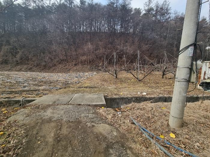 충북 충주시 살미면 설운리 388-1 전 사진 3