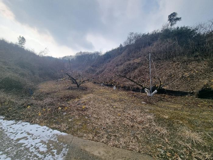 충북 충주시 살미면 설운리 388-1 전 사진 4