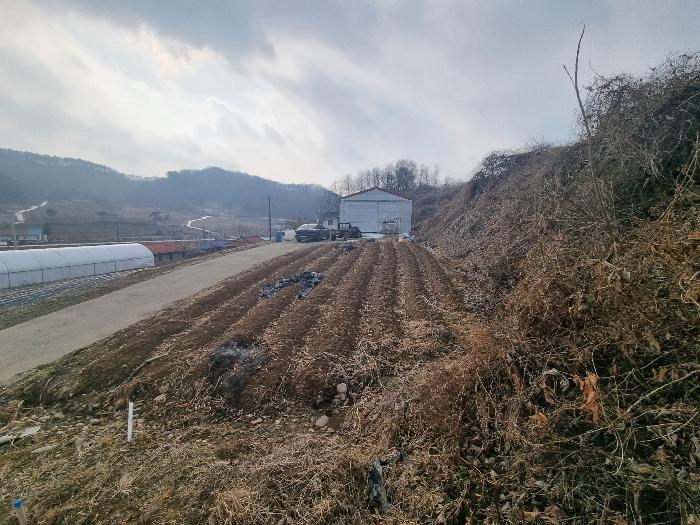 충북 충주시 살미면 설운리 388-1 전 사진 5