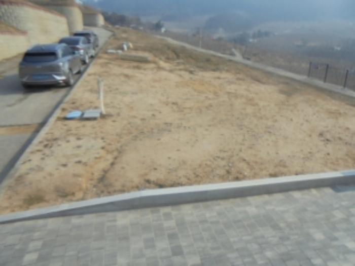 충북 충주시 안림동 98-41 과수원 사진 2