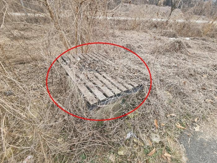 충북 충주시 신니면 대화리 172-2 하천 사진 2