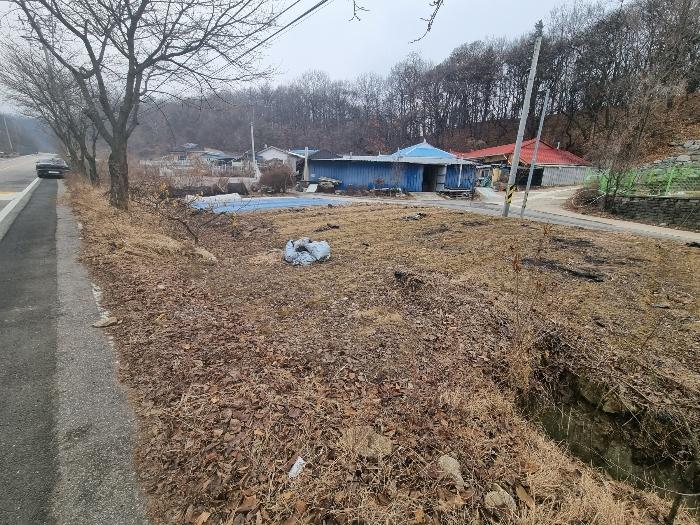 충북 충주시 신니면 대화리 172-2 하천 사진 3
