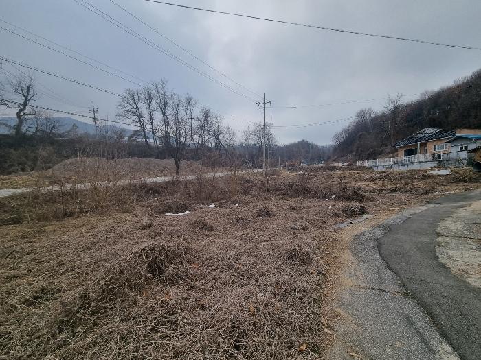 충북 충주시 신니면 대화리 172-2 하천 사진 5