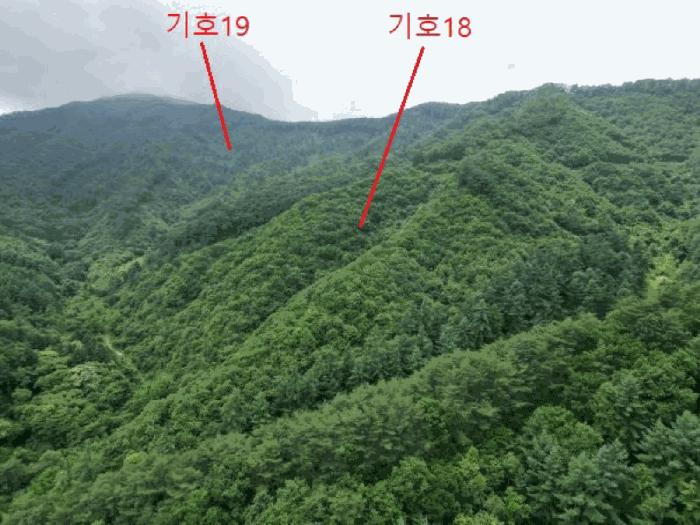 충북 제천시 한수면 덕곡리 산39-1 임야 사진 4