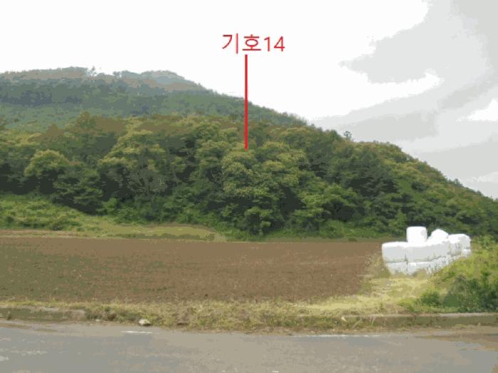 충북 제천시 한수면 덕곡리 산39-1 임야 사진 5