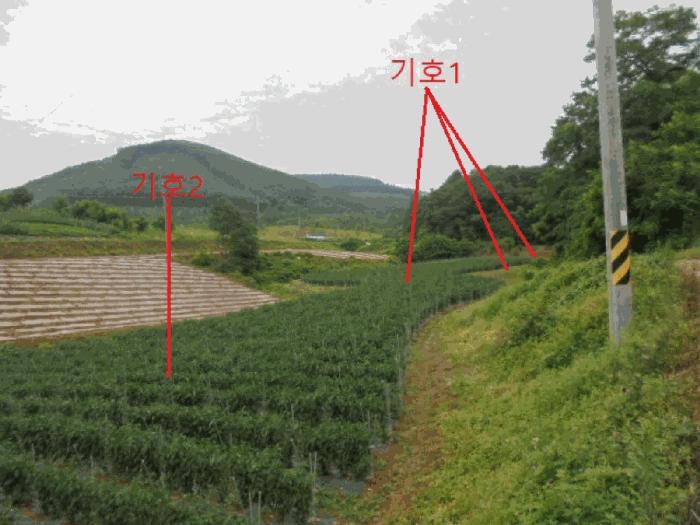충북 단양군 어상천면 석교리 468-1 전 사진 2