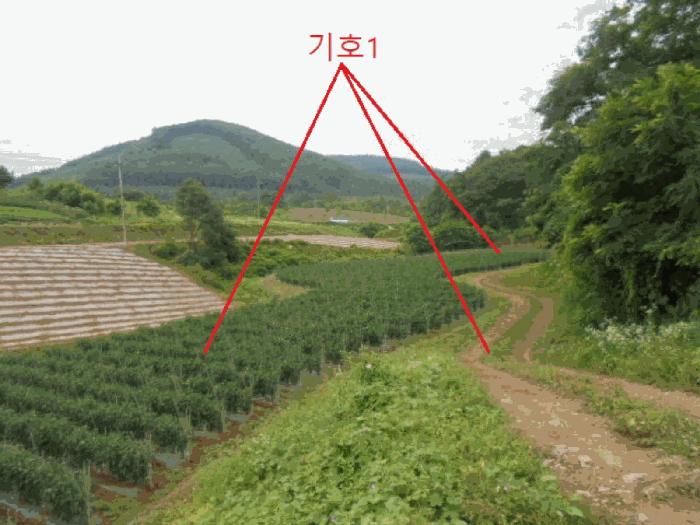 충북 단양군 어상천면 석교리 468-1 전 사진 3